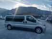 Opel Vivaro 29 2.5 CDTI/135CV PL-TN Combi
