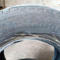 Pneumatici da carico