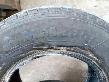 Pneumatici da carico