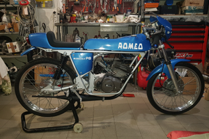 Stesino Romeo Scorpion Monster minarelli p6