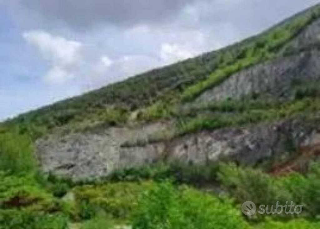Immobile in asta di 135918 m² a Fossombrone - Vista 5