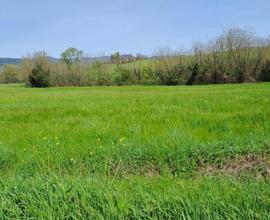 Terreno agric. a Castelfranco di Sotto