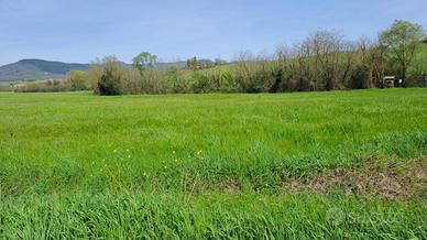 Terreno agric. a Castelfranco di Sotto