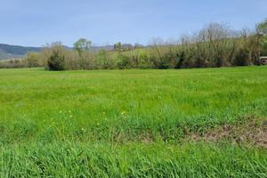 Terreno agric. a Castelfranco di Sotto
