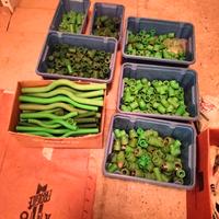 Raccordi acquaterm per impianto sanitario