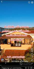 Alla Caletta sulla spiaggia distanza mare 0 metri