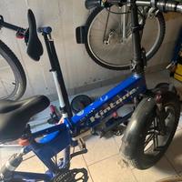 Bicicletta elettrica