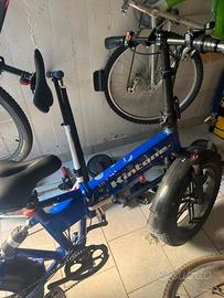 Bicicletta elettrica