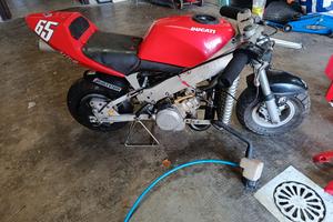 MINIMOTO POLINI 910