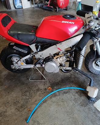 MINIMOTO POLINI 910