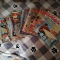 lotto riviste "Far da sé "