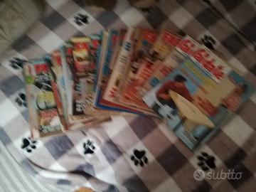 lotto riviste "Far da sé "