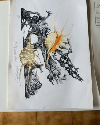 Litografia Botanica Natalino Arfelli