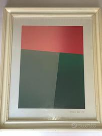 PITTORE SARDO ROSANNA ROSSI