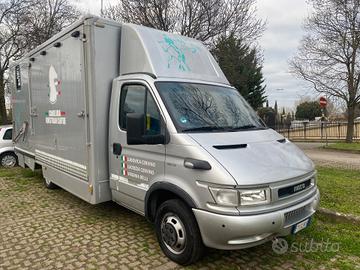 Iveco Daily 50 C11 trasporto per 3 cavalli patente