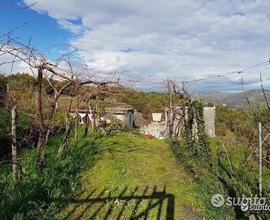 Terreno agricolo a San Gerardo