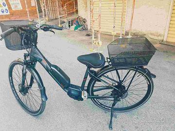 Bicicletta elettrica Olmo