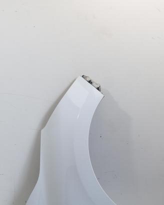 PARAFANGO ANTERIORE DESTRO RENAULT Clio Serie IV 6