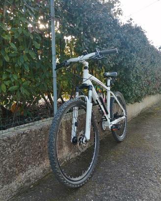 BICI DONNA 