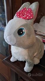 Coniglio Betsy