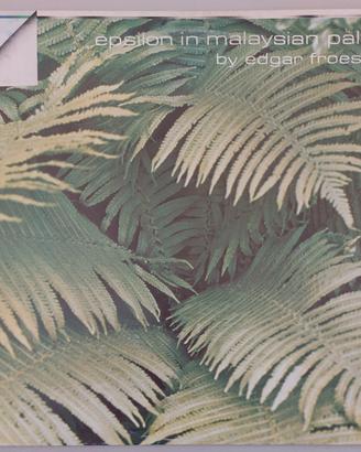 Disco vinile LP 33 giri