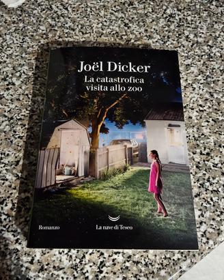 libro romanzo 