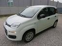 fiat-panda-1-2-easy-s-s-1200-c-c-
