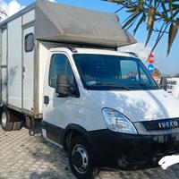 Daily trasporto cavalli