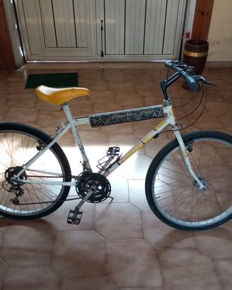 Mountain bike 