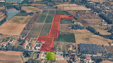 Terreno agricolo 4 ettari fronte strada con pozzo