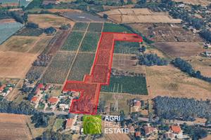 Terreno agricolo 4 ettari fronte strada con pozzo