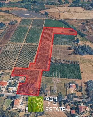 Terreno agricolo 4 ettari fronte strada con pozzo