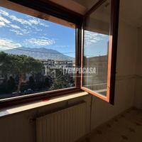 3VANI+ACC\POSTO AUTO