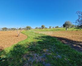 NOVITÀ! Terreno Edificabile con progetto villa di