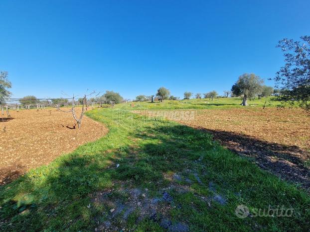 NOVITÀ! Terreno Edificabile con progetto villa di