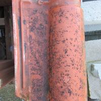 Tegole portoghesi Tognana rosse