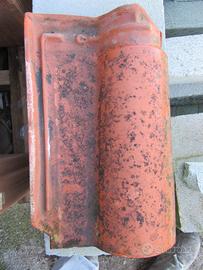 Tegole portoghesi Tognana rosse