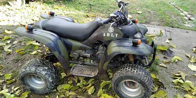 Quad ATV ADLY 50 cc da ragazzi con libretto