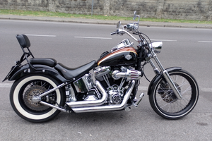 Softail blackline