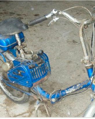 Bicicletta a motore bianchi