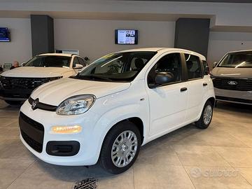 FIAT Pandina 5p 1.0 FireFly 65cv S&S 6m Hybri...