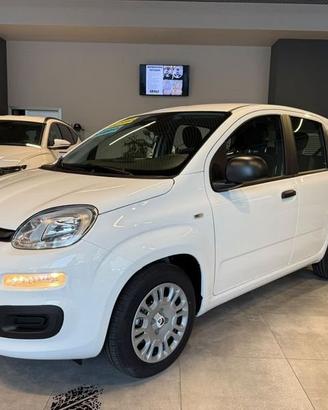 FIAT Pandina 5p 1.0 FireFly 65cv S&S 6m Hybri...