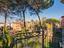 Immagine 13