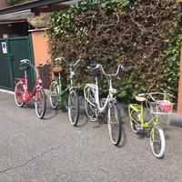 Bicicletta Graziella Bottecchia