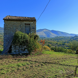 Rustico con terreno