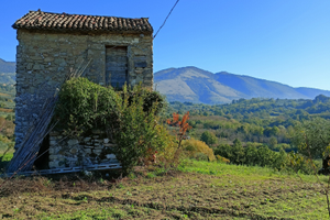 Rustico con terreno