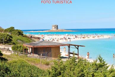 Stintino - Trilocale - Zona Roccaruja / La Pelosa