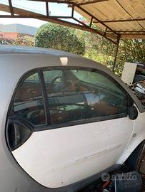 Smart portiere