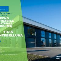 Terreno Ind.le 10.000mq Montebelluna (TV) Rif.1935