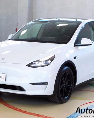 TESLA Model Y AWD - LONG RANGE - DUAL MOTOR 351C